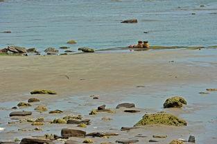 爱情岛国产,探寻异域风情的爱情秘境  第2张