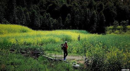 国产春色在线,探寻中国电影中的青春与色彩  第2张